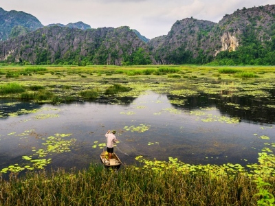 Van-Long-wetlands-